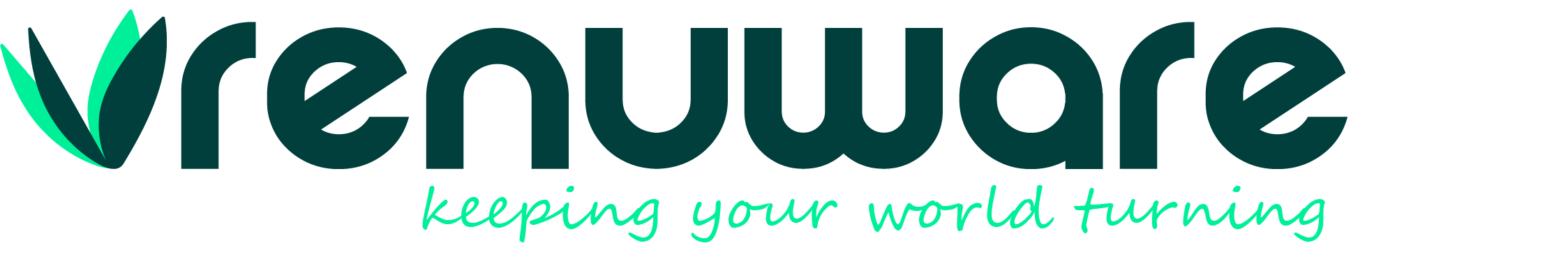 Company Name